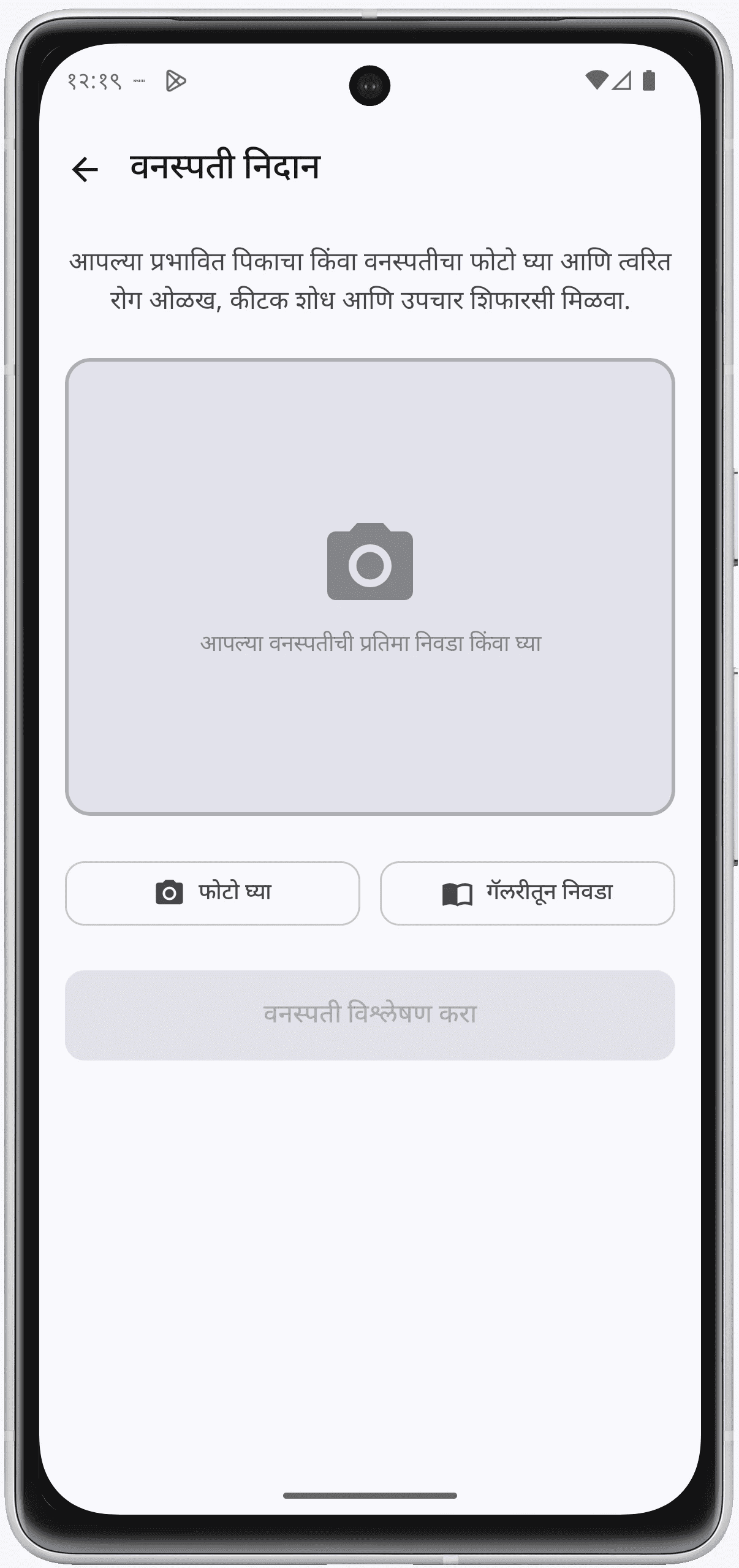 Krishi AI plant diagnosis screen presenting image-based crop guidance