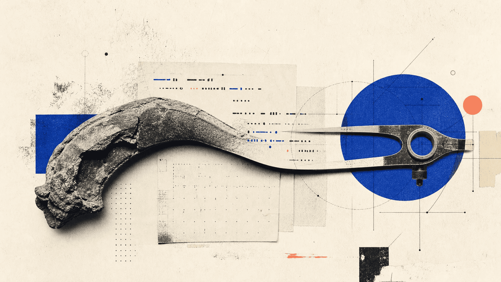 Editorial still life of a fossil-like claw shape transitioning into a practical hand tool